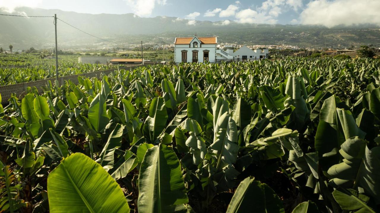 פוארטו דה לה קרוז Hacienda Los Orovales מראה חיצוני תמונה