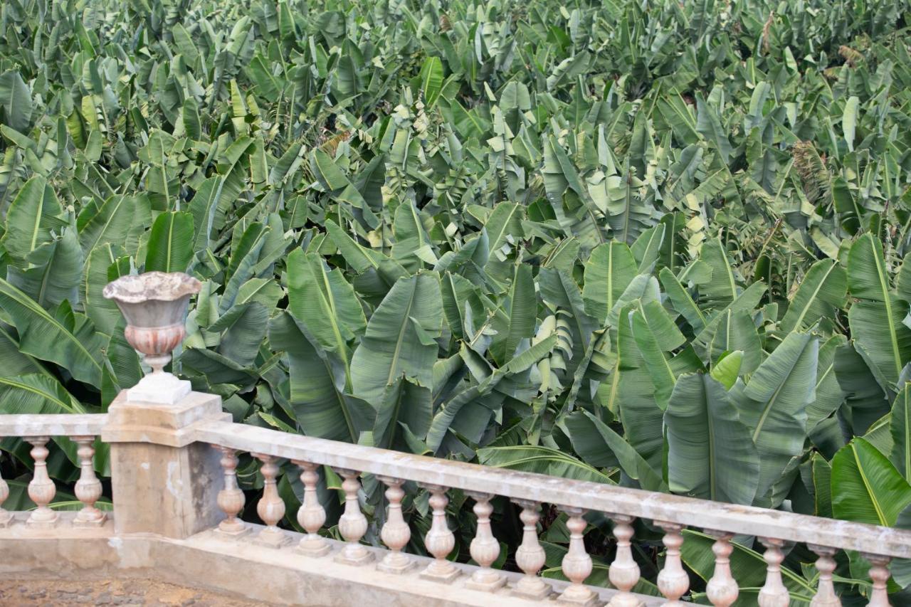 פוארטו דה לה קרוז Hacienda Los Orovales מראה חיצוני תמונה