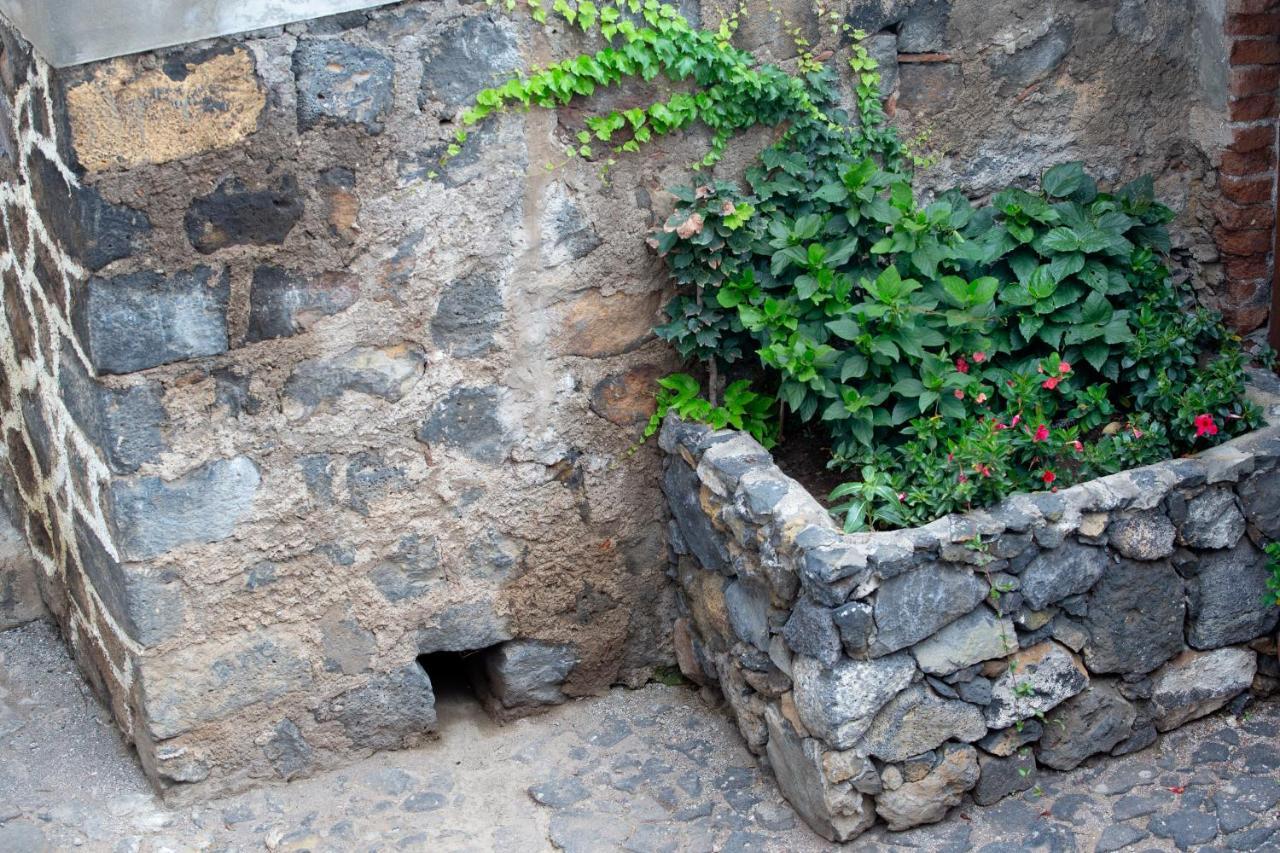 פוארטו דה לה קרוז Hacienda Los Orovales מראה חיצוני תמונה